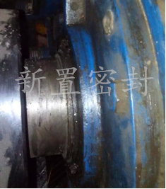 國(guó)華風(fēng)電DSF-SB型剖分式迷宮密封升級(jí)改造方案